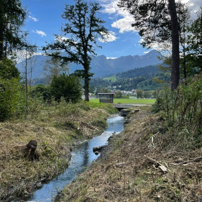 Revitalisierter Abzugskanal, Cazis